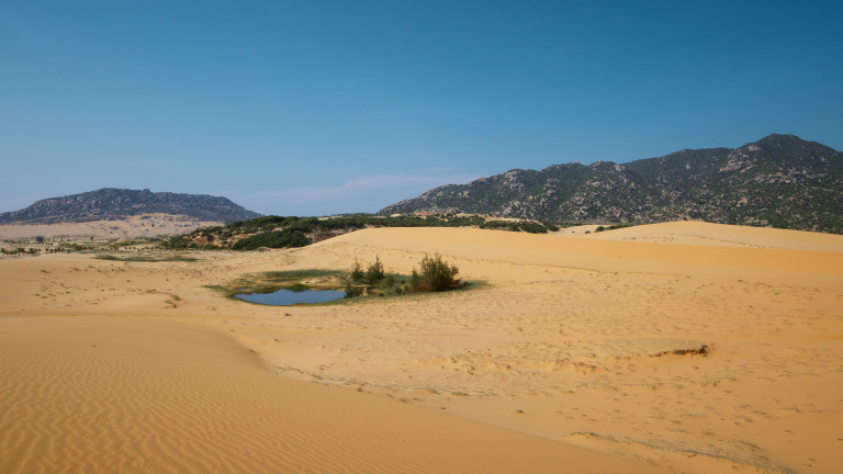 Bury Us In A Lone Desert: Image 4