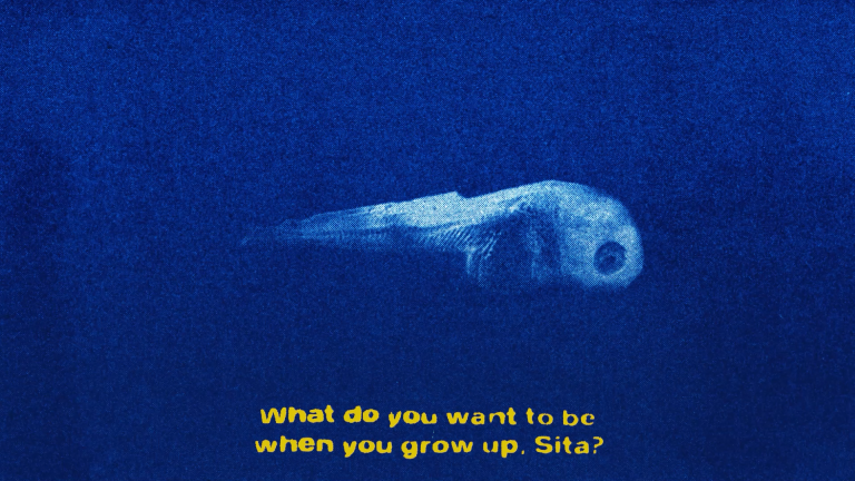 Objects Do Not Randomly Fall From the Sky: Image 6