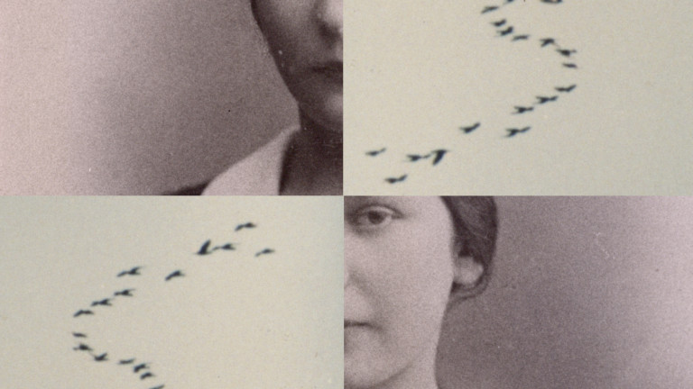 Last Evenings on Earth: Image 2