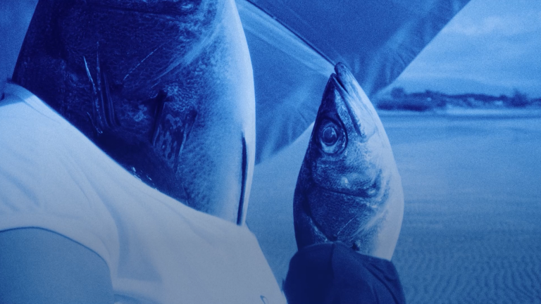 Objects Do Not Randomly Fall From the Sky: Image 2